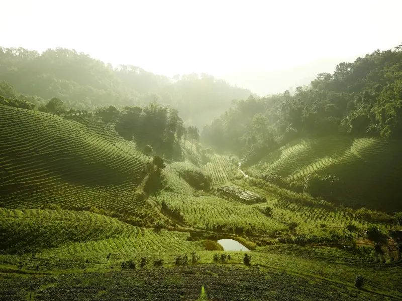 Best Solo Travel Tips for Newbies: Tips to Prepare for Your First Solo Trip